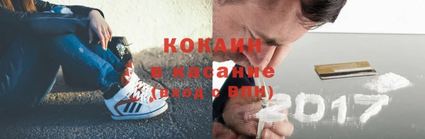 дживик Гусь-Хрустальный