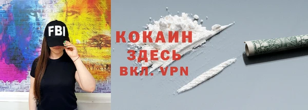 дживик Гусь-Хрустальный