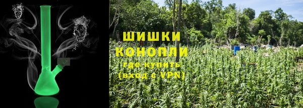 дживик Гусь-Хрустальный