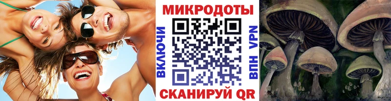 Псилоцибиновые грибы Psilocybine cubensis  Купить  Жуков 